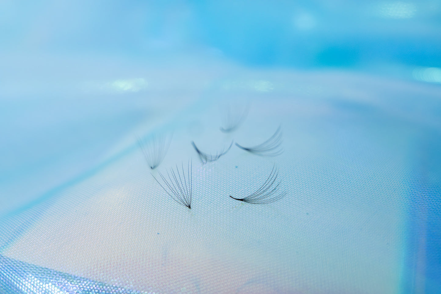 10D Promade Loose Fan