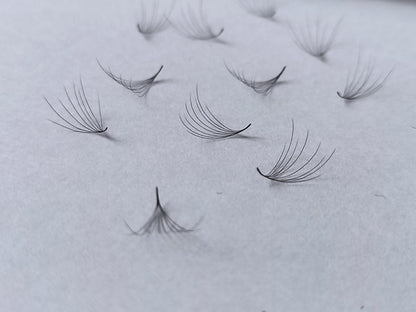 8D Camellia Lash